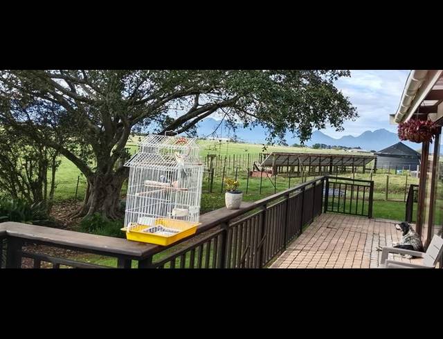 FARM FOR SALE IN GEORGE RURAL